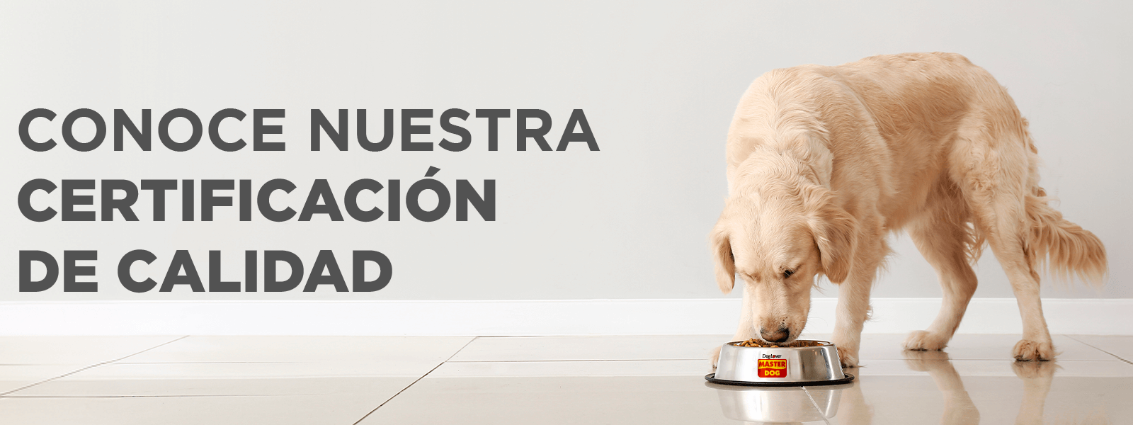 Conoce nuestra certificación de calidad - Master Dog